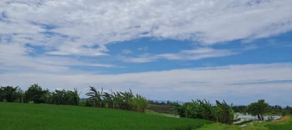 Земельный участок 2800м² в Tabanan, Индонезия № 3701 6