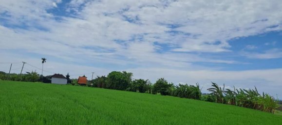 Земельный участок 2800м² в Tabanan, Индонезия № 3701 4