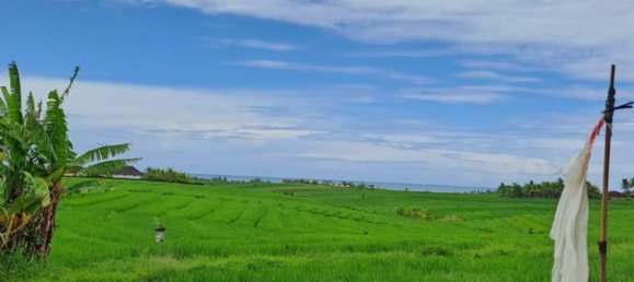 Земельный участок 2800м² в Tabanan, Индонезия № 3701 15