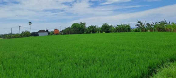 Земельный участок 2800м² в Tabanan, Индонезия № 3701 13