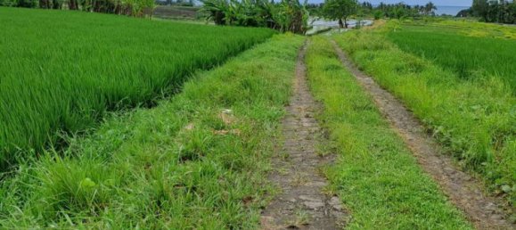 Земельный участок 2800м² в Tabanan, Индонезия № 3701 14