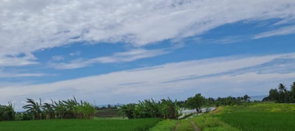 Земельный участок 2800м² в Tabanan, Индонезия № 3701 7