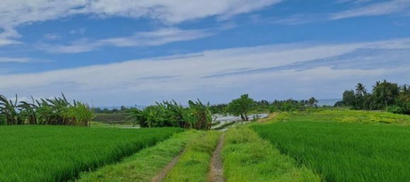 Земельный участок 2800м² в Tabanan, Индонезия № 3701 8