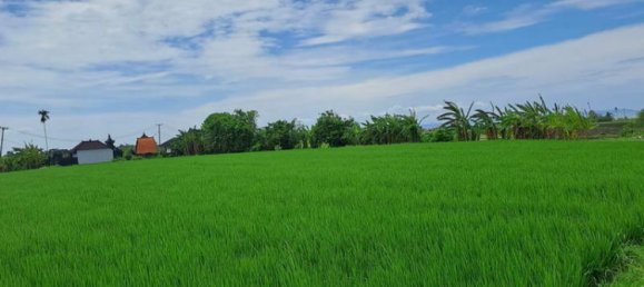 Земельный участок 2800м² в Tabanan, Индонезия № 3701 10