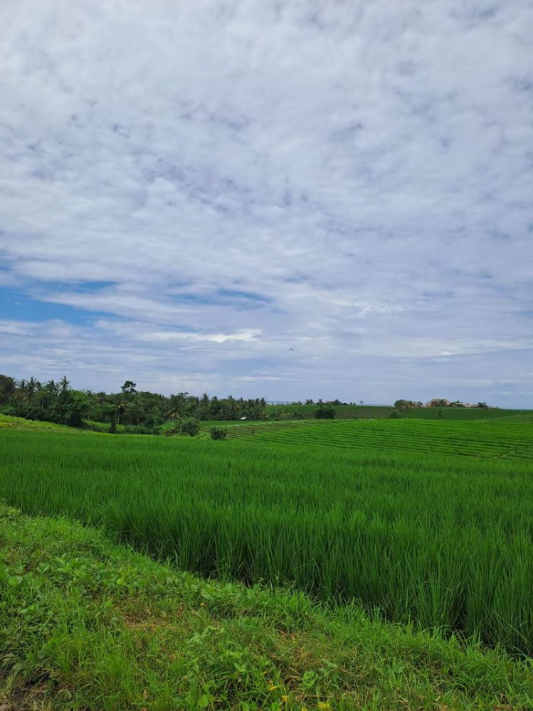 Земельный участок 2800м² в Tabanan, Индонезия № 3701