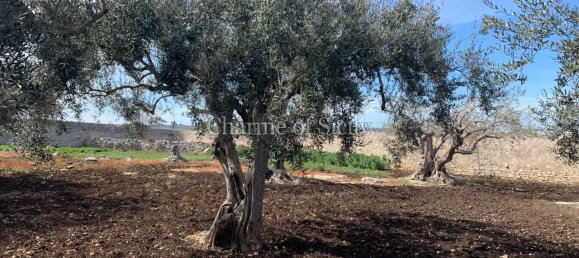 Casa de 9 habitaciónes en Modica, Italy No. 231824 26