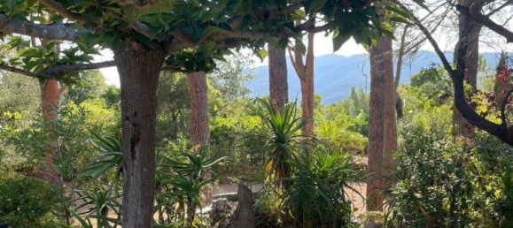 6 bedrooms Villa in Lecci, France No. 152945 20