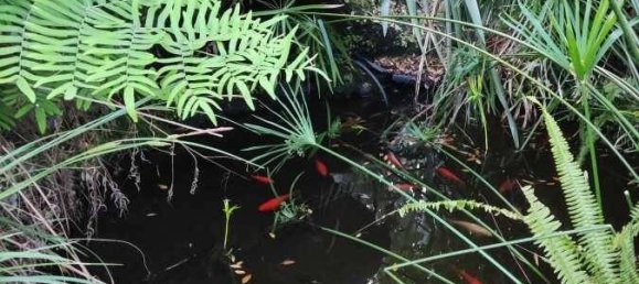 6 bedrooms Villa in Lecci, France No. 152945 10