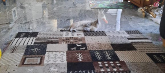 Casa T4 em Reutlingen, Germany N.º 304941 6