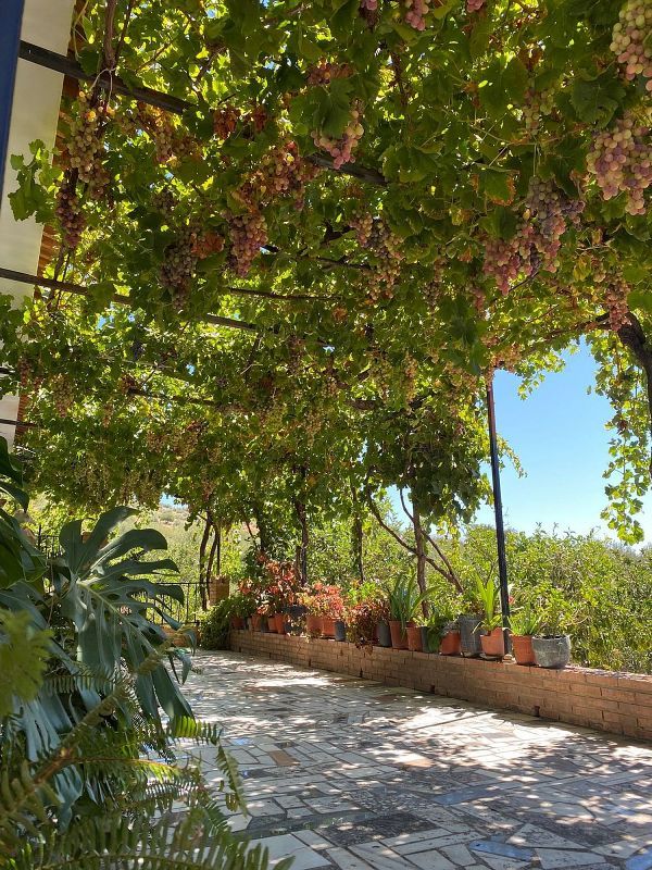 4 bedrooms House in Alfarnatejo, Spain No. 228142