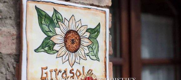 14 Schlafzimmer Haus in Figline e Incisa Valdarno, Italy, Nr. 188359 21