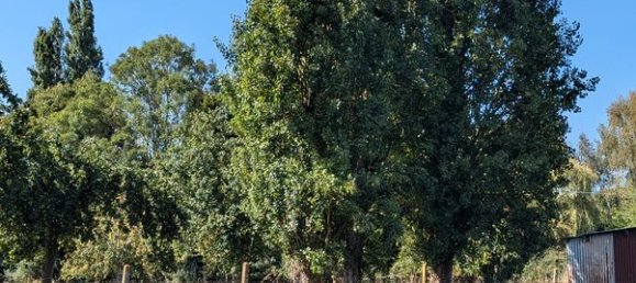 3 bedrooms House in Conches-en-Ouche, France No. 354629 9