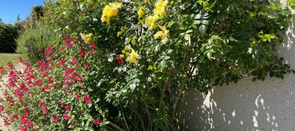 6 bedrooms House in Azay-le-Rideau, France No. 322413 8