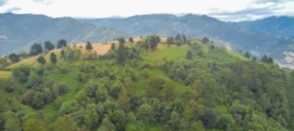 1 Schlafzimmer Haus in Mieres, Spain, Nr. 145225 32