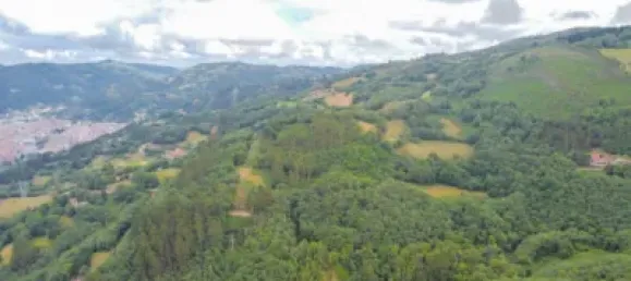 1 Schlafzimmer Haus in Mieres, Spain, Nr. 145225 35