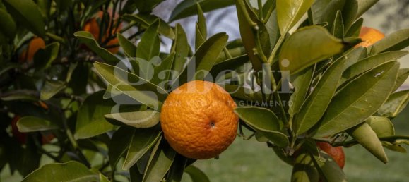 6 rooms Villa in Pordenone, Italy No. 56530 42