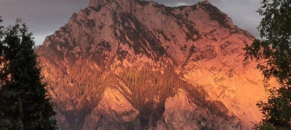 6غرفة فيلا في Altmunster, Austria رقم 248251 11