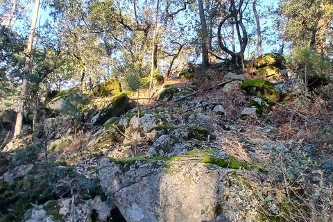 4 bedrooms Land in Barcelos, Portugal No. 197030