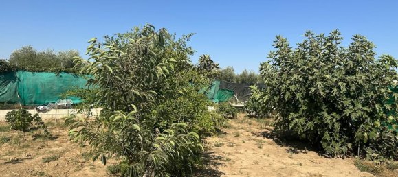 1814m² Land in Andalusia, Spain No. 170335 15