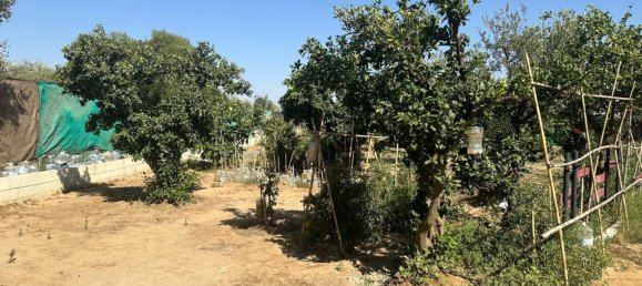 1814m² Land in Andalusia, Spain No. 170335 13