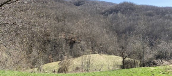 10 rooms House in Bedonia, Italy No. 263474 12