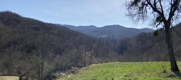 10 rooms House in Bedonia, Italy No. 263474 13