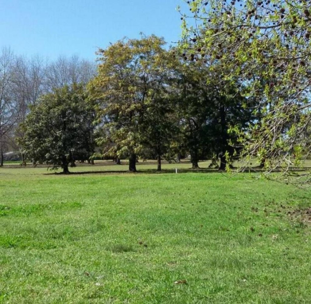  Land in Tigre, Argentina No. 121099