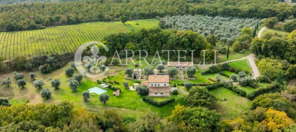 12 rooms House in Manciano, Italy No. 78401 16