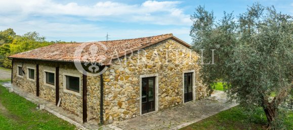 12 rooms House in Manciano, Italy No. 78401 3