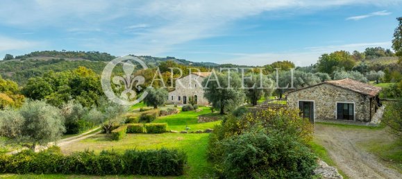 12 rooms House in Manciano, Italy No. 78401 5