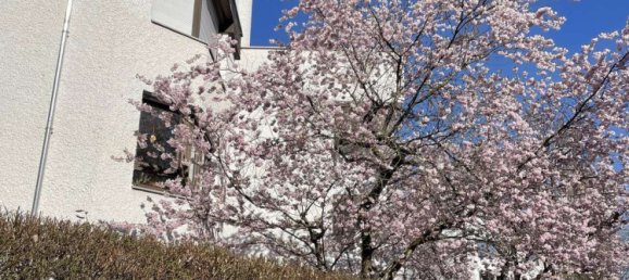 1 Schlafzimmer Wohnung in München, Germany, Nr. 268909 16