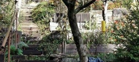  Land in Ilm-Kreis, Germany No. 87888 3