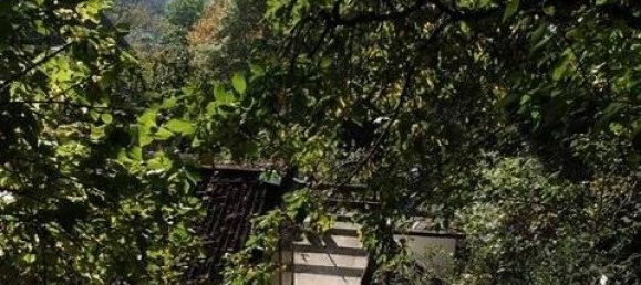  Land in Ilm-Kreis, Germany No. 87888 2