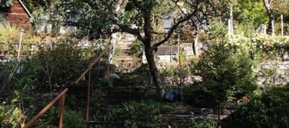  Land in Ilm-Kreis, Germany No. 87888 4