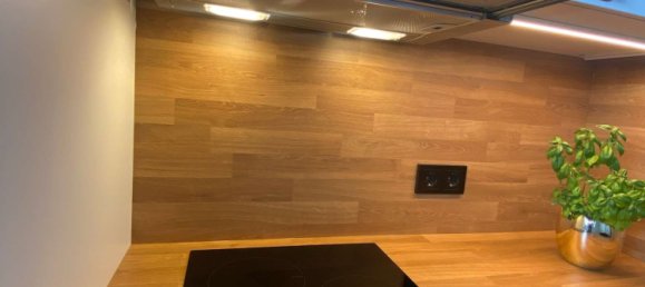 1 غرف نوم شقة في Lower Saxony, Germany رقم 346229 3