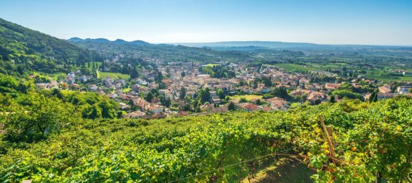 15 rooms Villa in Treviso, Italy No. 164283 35