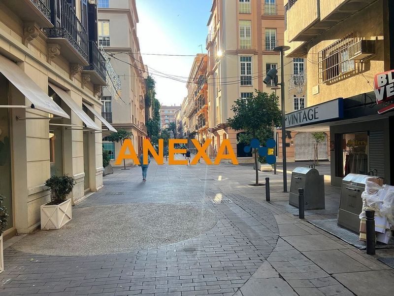  Commercial property in Malaga, Spain No. 232350