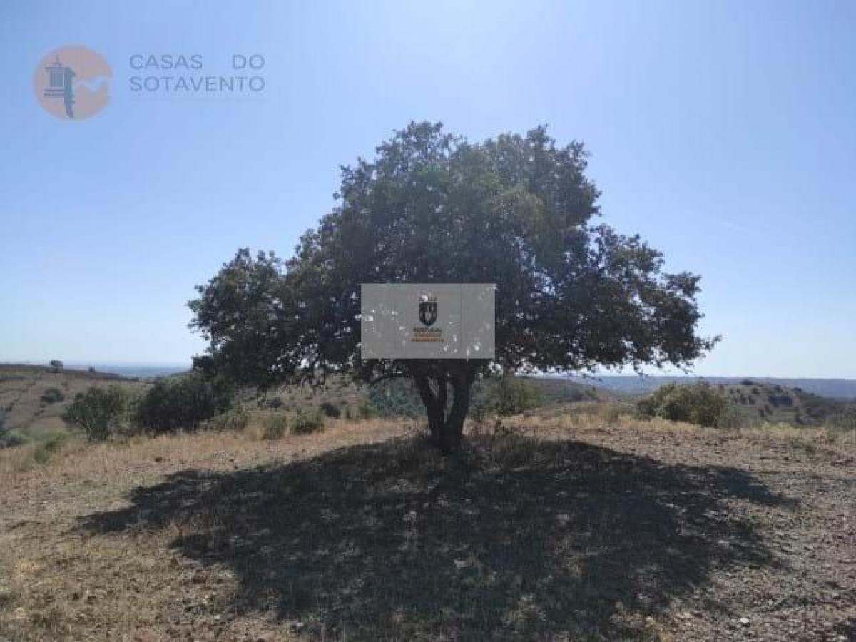  قطعة أرض في Castro Marim, Portugal رقم 2216