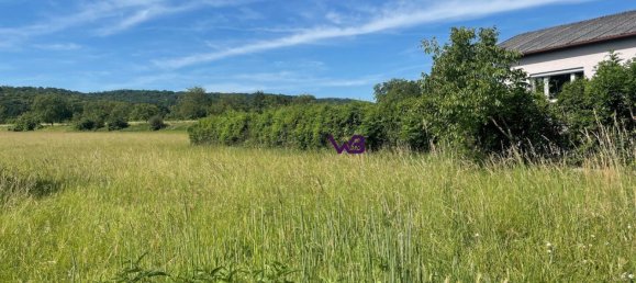 Grundstück in Bisamberg, Austria, Nr. 128035 2