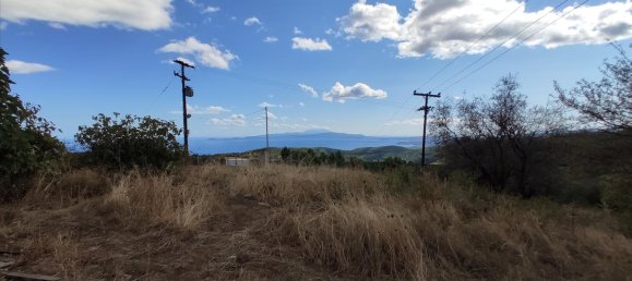 100000m² Hotel in Chalkidiki, Greece No. 4055 3