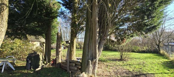 Terrain à Kleve, Germany No. 162130 10