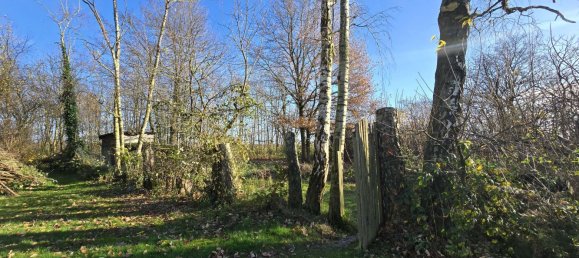 Terrain à Kleve, Germany No. 162130 15