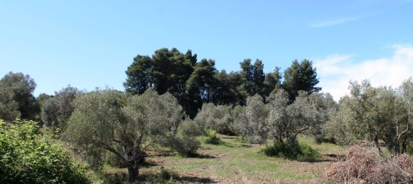 Hotel in Chalkidiki, Greece 10181m², Nr. 6775 2