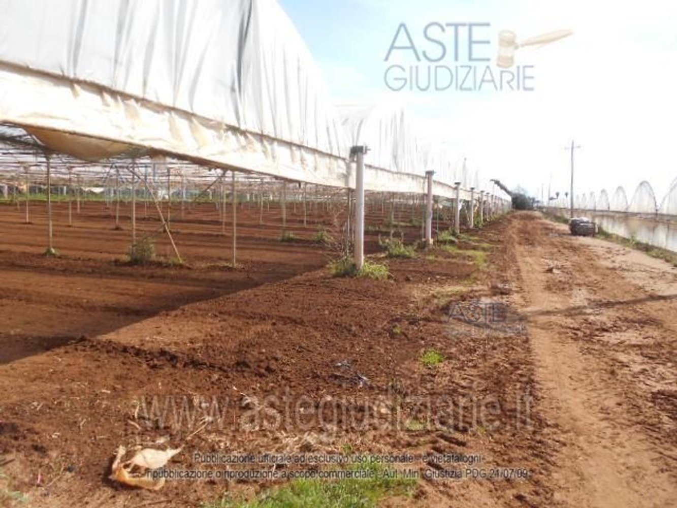 74349m² Land in Latina, Italy No. 46875