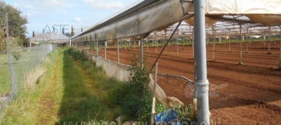 74349m² Land in Latina, Italy No. 46875 2