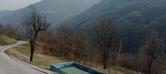 4غرفة منزل في Limana, Italy رقم 126262 49