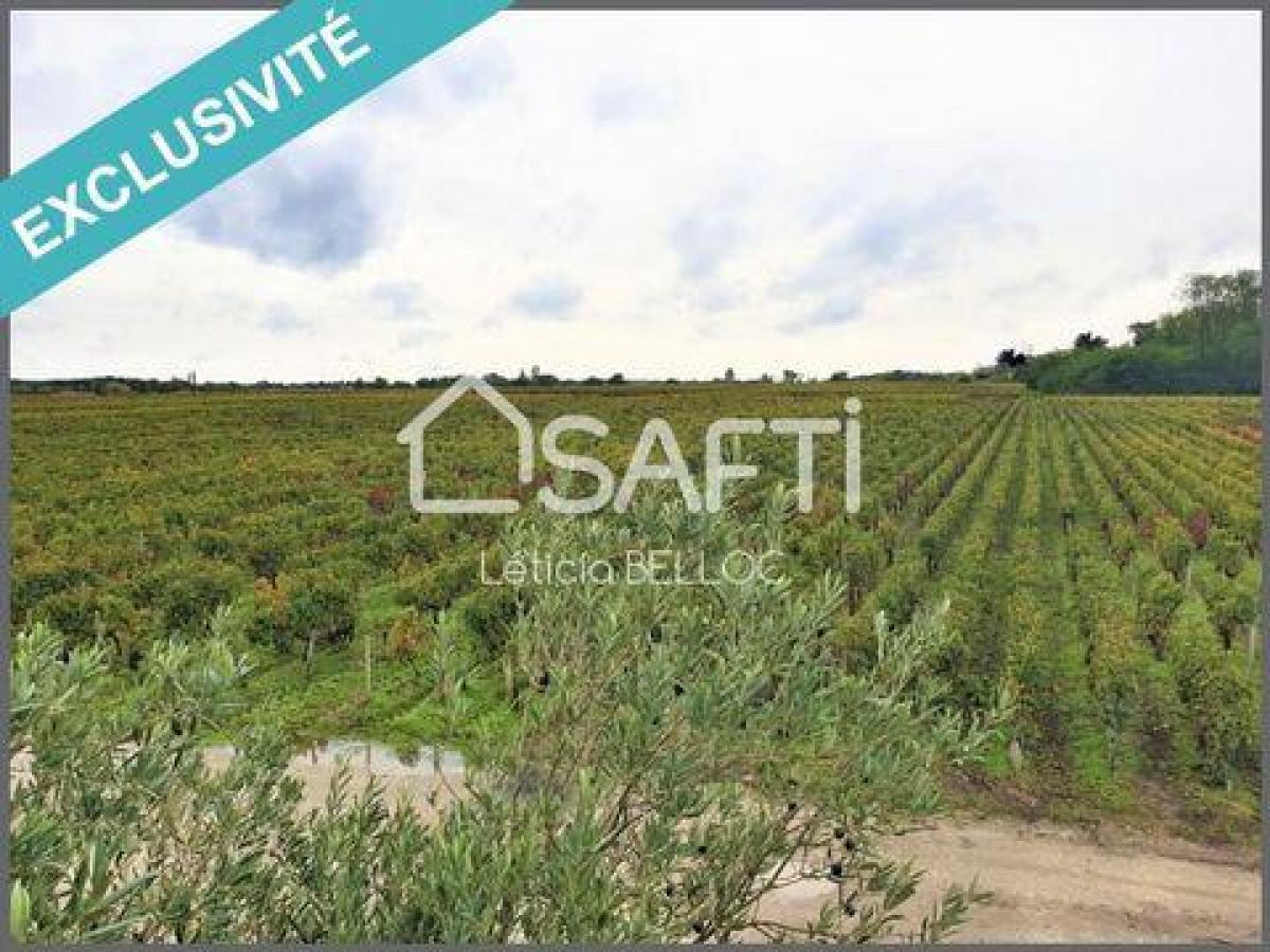 Bureau à Bégadan, France 700000m² No. 18319