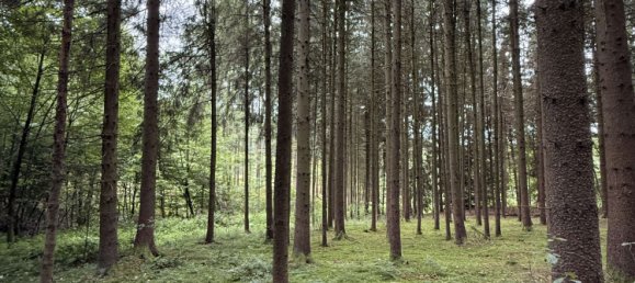 20000m² Land in Passau, Germany No. 317846 12