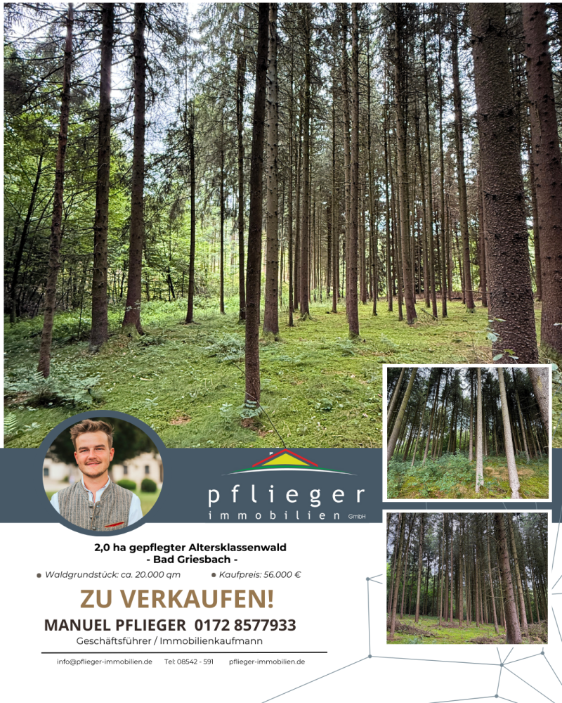 20000m² Land in Passau, Germany No. 317846