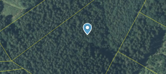 20000m² Land in Passau, Germany No. 317846 14